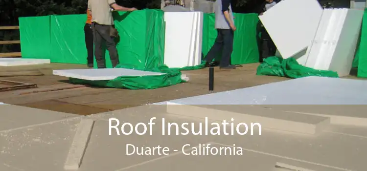 Roof Insulation Duarte - California