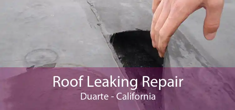 Roof Leaking Repair Duarte - California